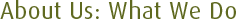 About Us: What We Do