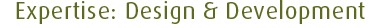 Disciplines: Design & Development
